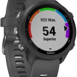 Спортивные часы Garmin Forerunner 245 серый ремешок черный